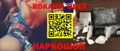 apvp Гатчина