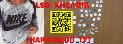 стафф Гай