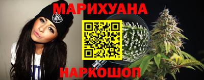 стафф Гай