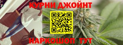 apvp Гатчина