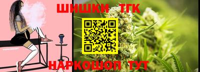 apvp Гатчина