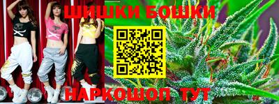 стафф Гай